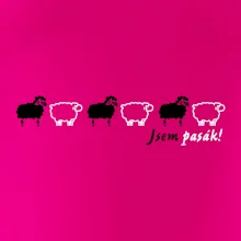 Som pasák - ovce v rade