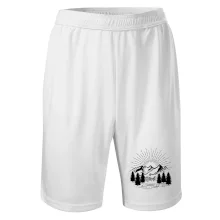 Hory a lesy Hory a lesy