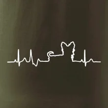 Yorkshirský teriér EKG