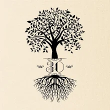 Narodeninový strom 30