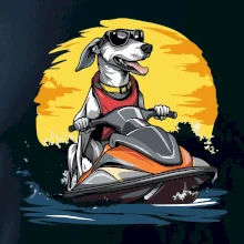 Chrt na vodnom skútri