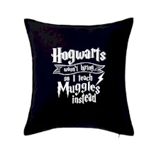 Harry - Hogwarts wasn’t hiring, so I teach Muggles instead