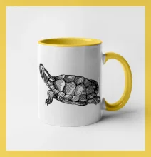 Ceruzkou kreslená korytnačka