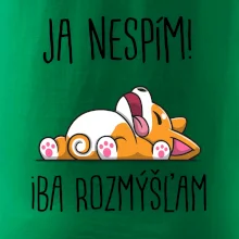 Ja nespím, iba rozmýšľam SK