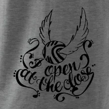 Harry - Zlatá strela