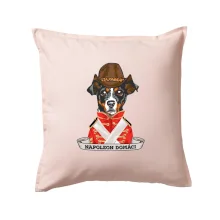 Napoleon domáci kríženec