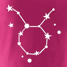Súhvezdie - Taurus - Býk Súhvezdie - Taurus - Býk