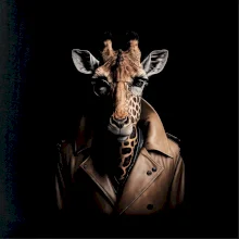 Žirafa v kožené bundě