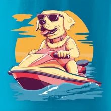 Zlatý retriever na vodnom skútri