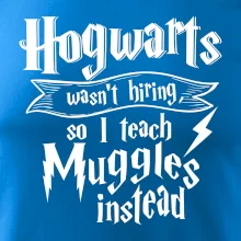 Harry - Hogwarts wasn’t hiring, so I teach Muggles instead