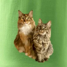 Mačky vectorizované (Moňas)