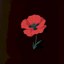 Vlčí mak kreslený veľký