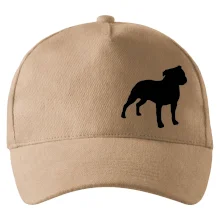 Americký stafordšírsky teriér Na prsníku