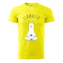 Yoga Llamaste Yoga Llamaste