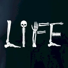 Radiology Life Radiology Life