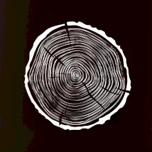 Letokruhy 40 bez veku