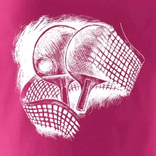 Ping pong rakety a sieť Ping pong rakety a sieť