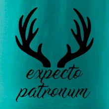 Harry - Expecto patronum Harry - Expecto patronum