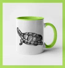 Ceruzkou kreslená korytnačka