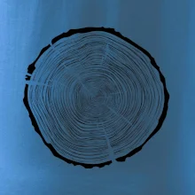 Letokruhy 85 bez veku