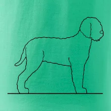 Lagotto romagnolo stojaci