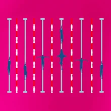 Plavecký bazén žralok