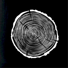 Letokruhy 40 bez veku Letokruhy 40 bez veku