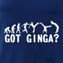 Capoeira - Got Ginga Capoeira - Got Ginga