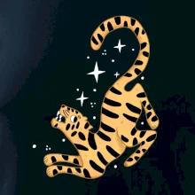 Tiger s hviezdami (studio-arte.cz)