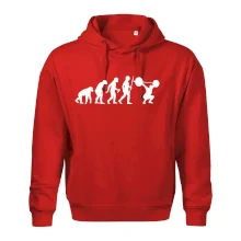 Evolution fitness Evolution fitness