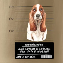 Baset - lump a darebák  