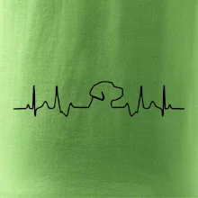Labradorský retriever‎ EKG