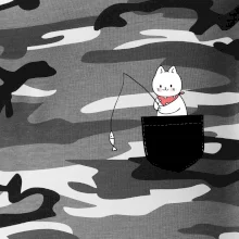 Mačka s rybou vo vrecku