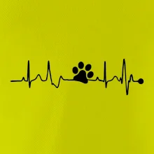 Ekg psia labka Ekg psia labka