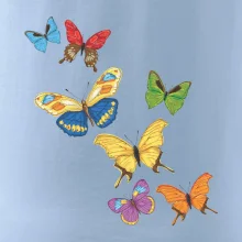 Farebné motýle Farebné motýle