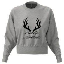 Harry - Expecto patronum