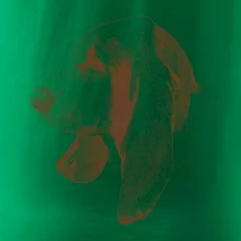 Basset - kreslená hlava