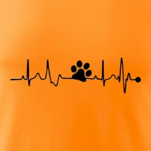 Ekg psia labka Ekg psia labka