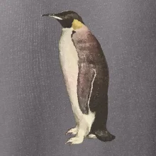 Tučniak kreslený vodovými farbami