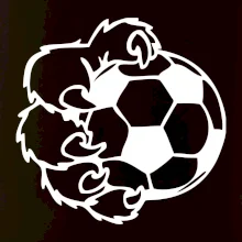 Medvedia laba futbal