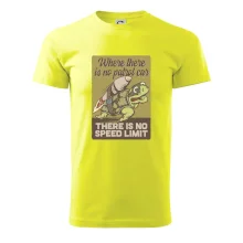 Korytnačka na cestách