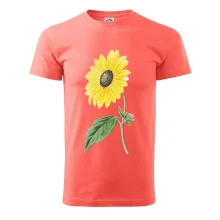 Slnečnica otočená