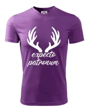 Harry - Expecto patronum