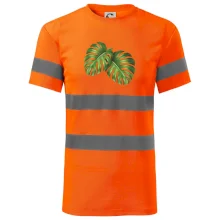 Monstera - dva listy Monstera - dva listy