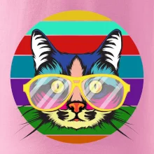 Mačka pri farebnom západe