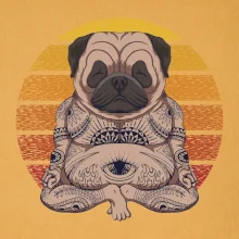 Yoga meditace - pug