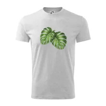 Monstera - dva listy Monstera - dva listy