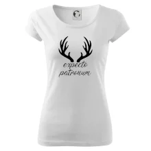 Harry - Expecto patronum