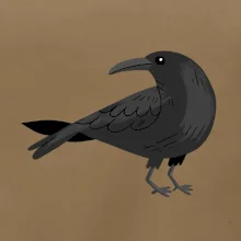 Vrana kreslená (studio-arte.cz)