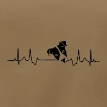 Jack Russell Terriér - hlava